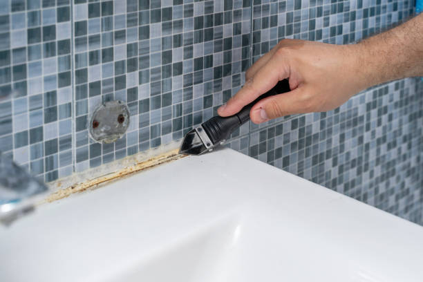 Best Commercial Mold Removal  in Westwood, KS