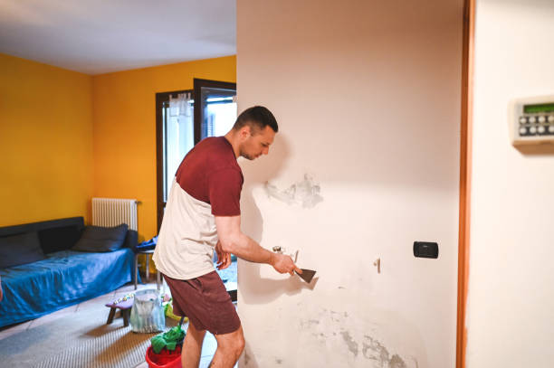 Best Toxic Mold Removal  in Westwood, KS